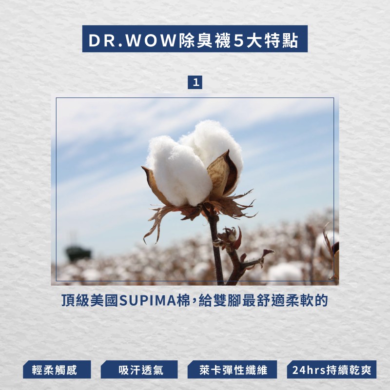 【現貨】Supima抗菌萊卡除臭襪 五趾襪 長襪 短襪-五趾長襪 P6845, , large