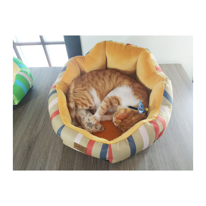 Lucky Me for pet, , large