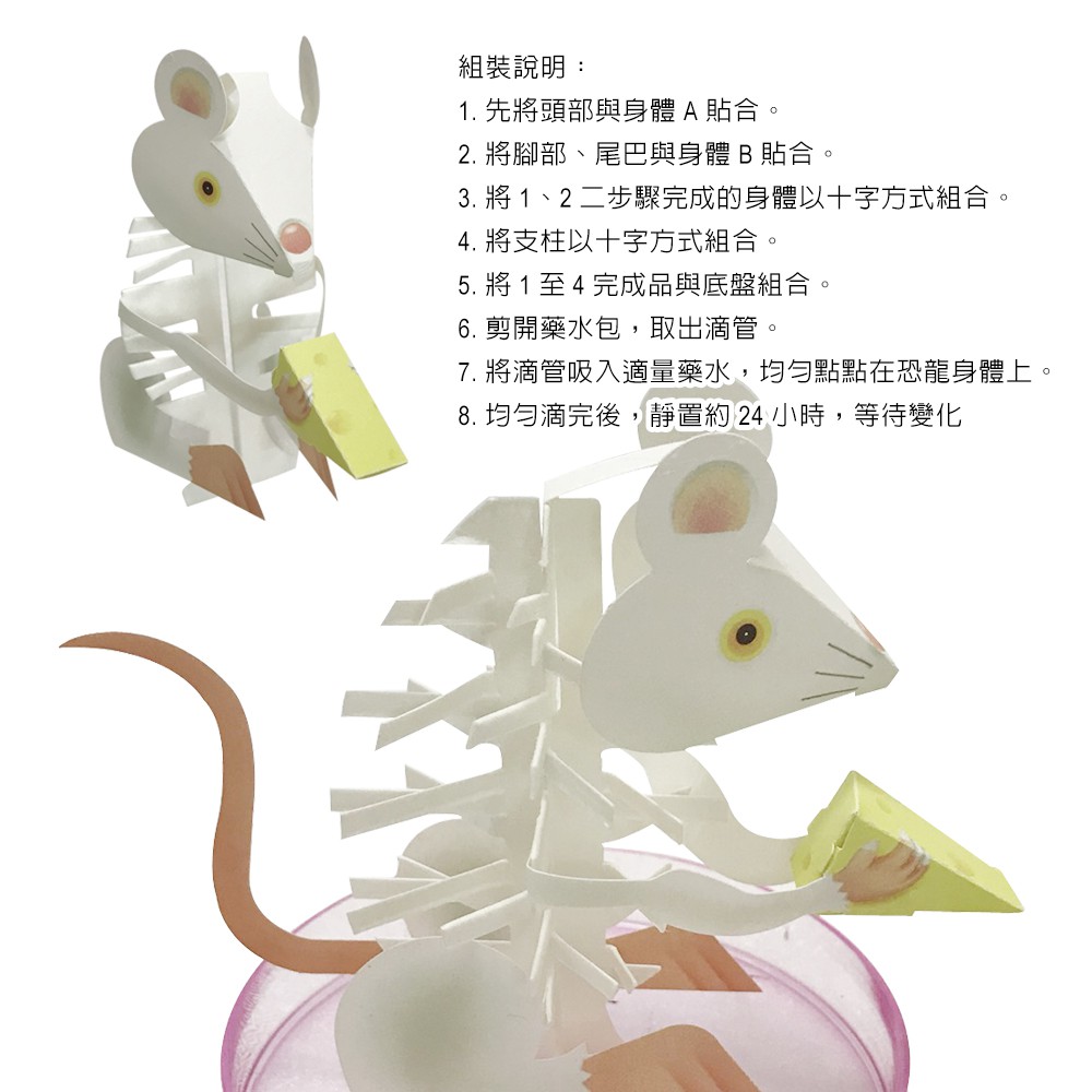 金德恩 GS MALL 台灣製造 魔法成長錢鼠 魔法開花鼠 成長鼠 錢鼠 神奇錢鼠 紙花 開花鼠 裝飾樹 開花樹, , large