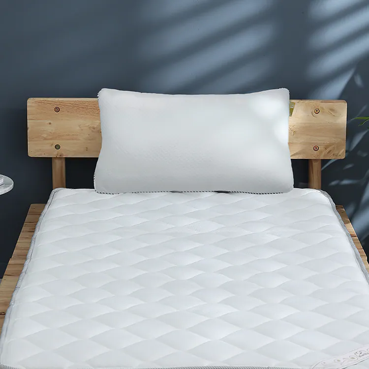 【Darphia 朵法亞】涼爽石墨烯獨立筒枕, , large