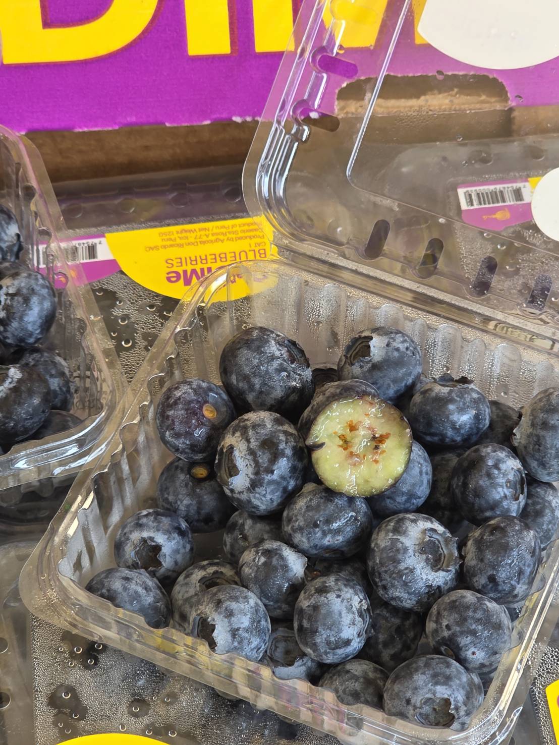 Blueberry, , large