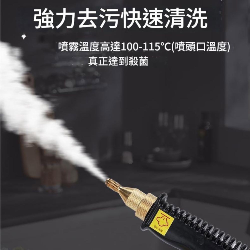 110V高溫可控高壓蒸汽清潔機, , large