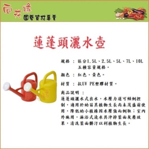 Watering Can with Shower Head &ndash; 2.5L, , large