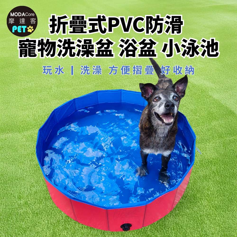 摩達客寵物-折疊式PVC防滑 寵物洗澡盆 浴盆 小泳池 多尺寸可選 大小型寵物適用, , large