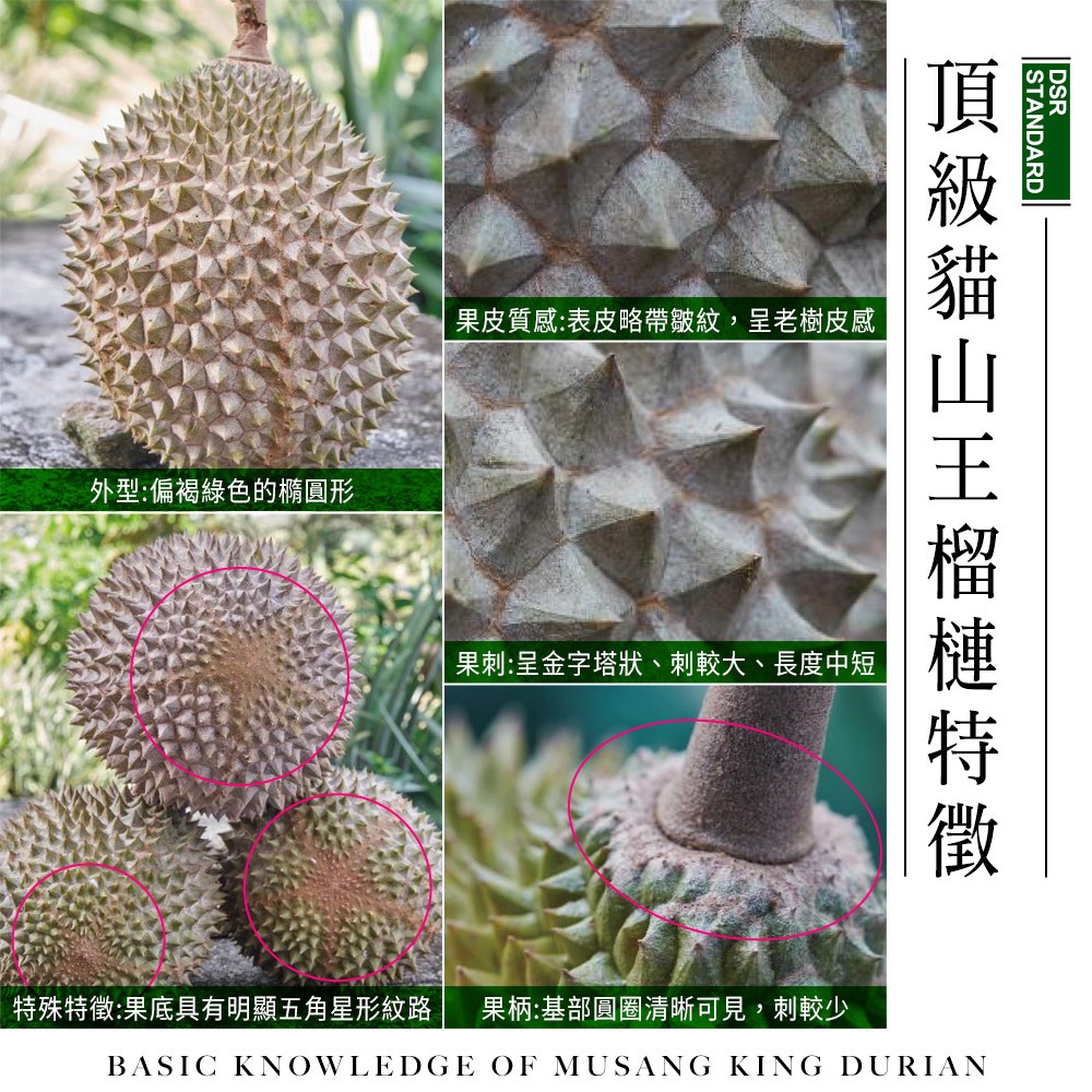 【榴槤大哥 D.MasKing】The Only Certified Malaysia Raub Musang King Durian x1 box, , large