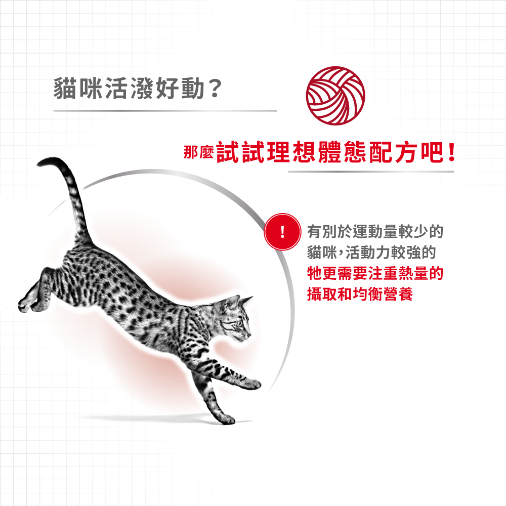 Royal Canin Ideal Body Condition Formula for Adult Cats F32, , large