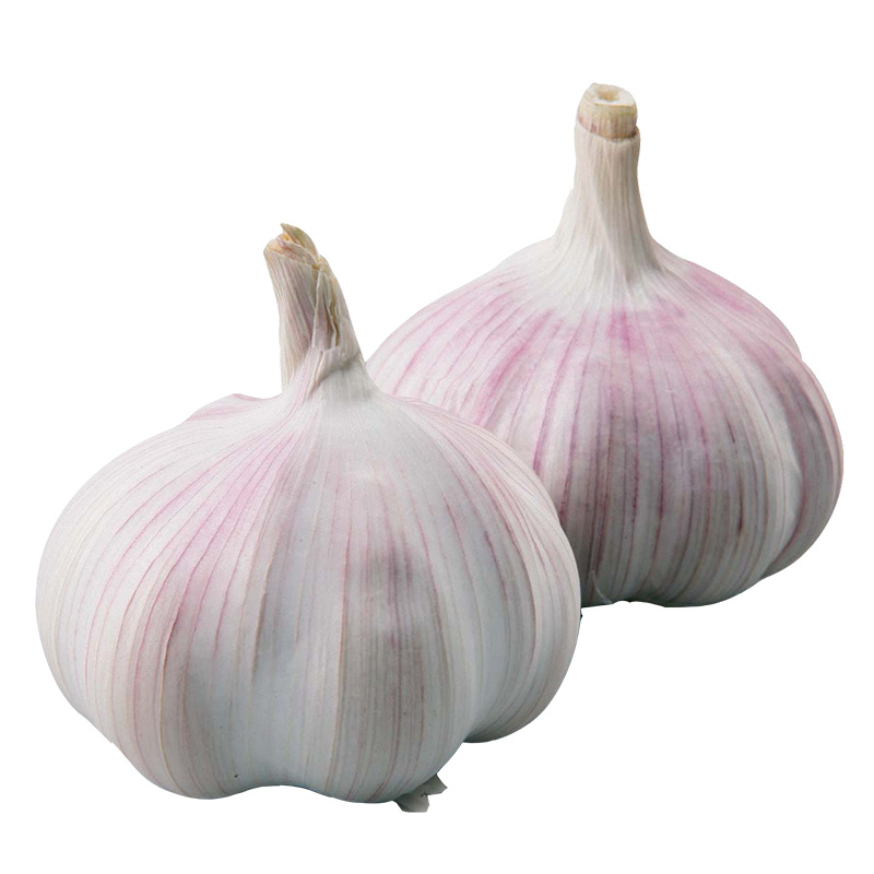 Imported Garlic Bulb, , large