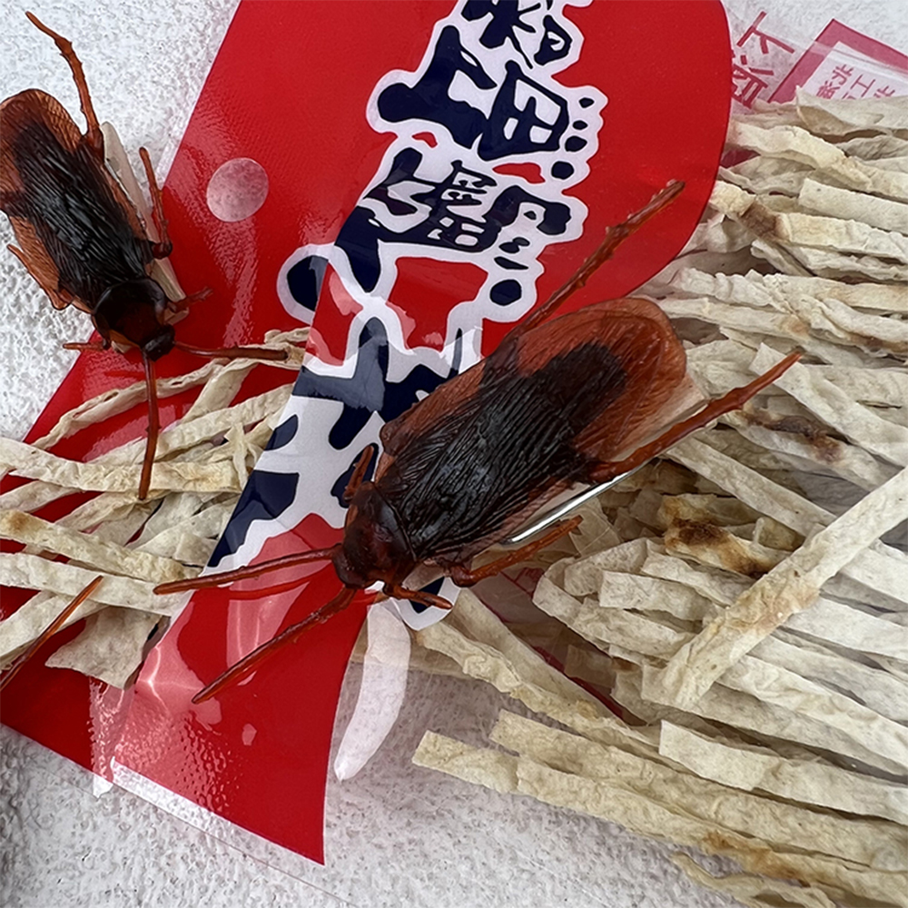 cockroach-clip, , large