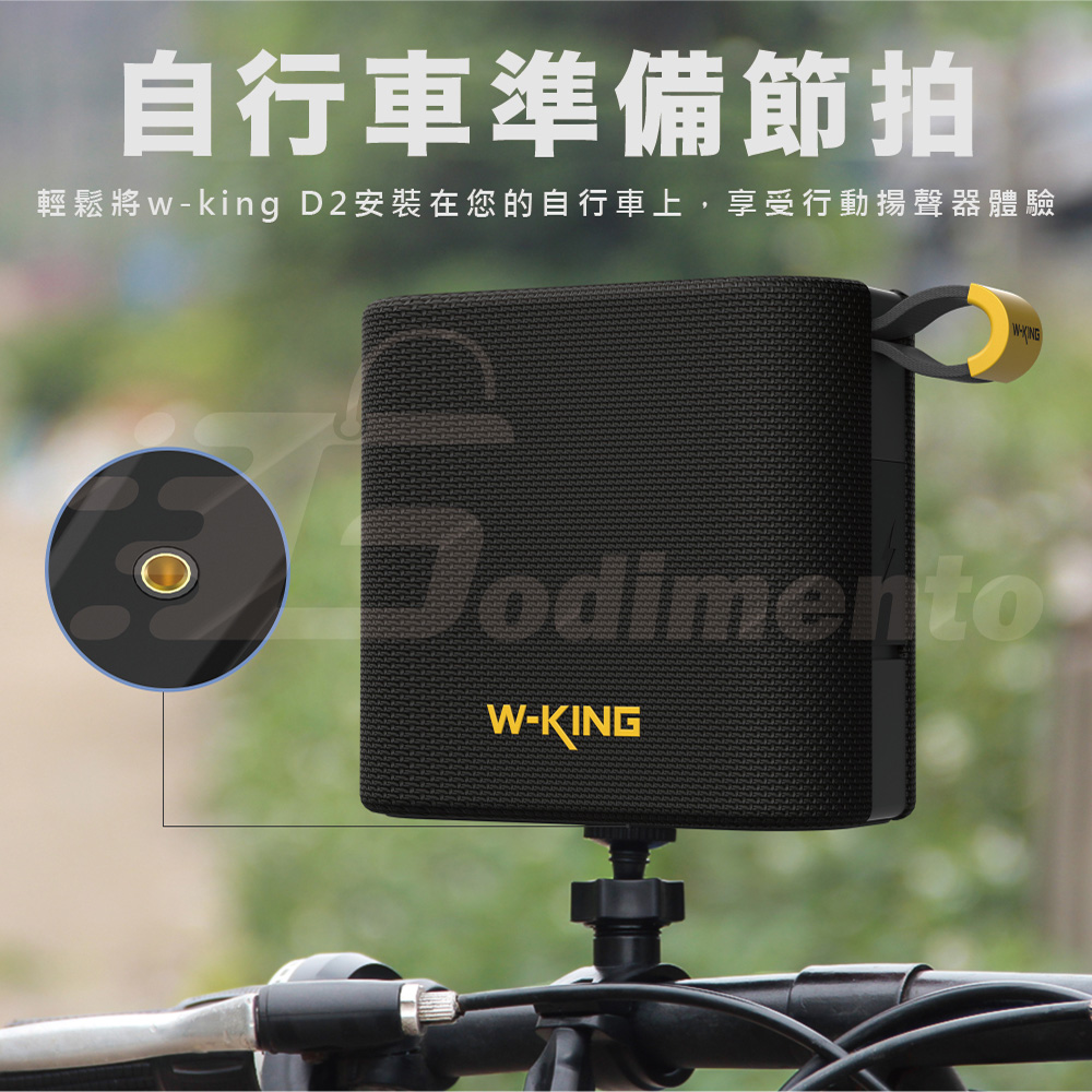 W-KING D2, , large
