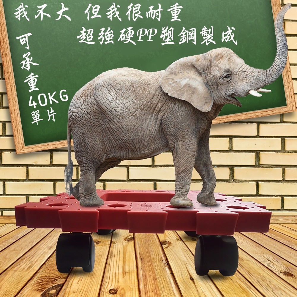 GS MALL 台灣製造 一組2入 耐衝擊滑輪棧板 推車 板車 拖板車 棧板 高硬度棧板 滑輪棧板 烏龜車, , large