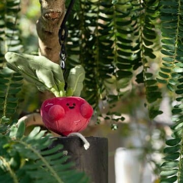 【際洋文化】蔔學多才-蘿蔔, , large