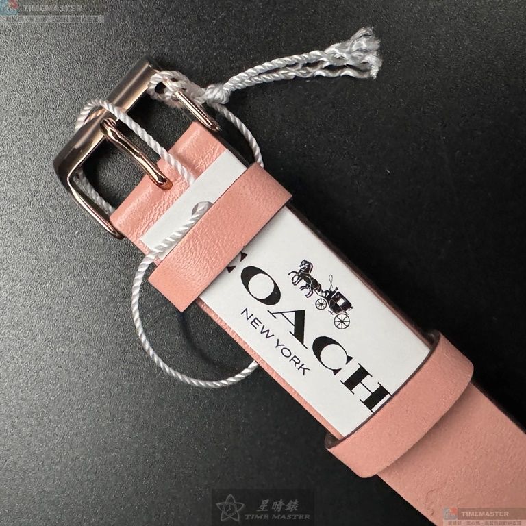 [TIMEMASTER] COACH watch, 36mm, CH00204, , large