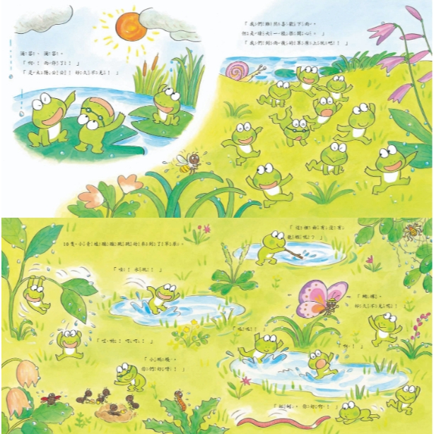 《南門書局》10隻小青蛙系列~日本授權~青蛙, , large