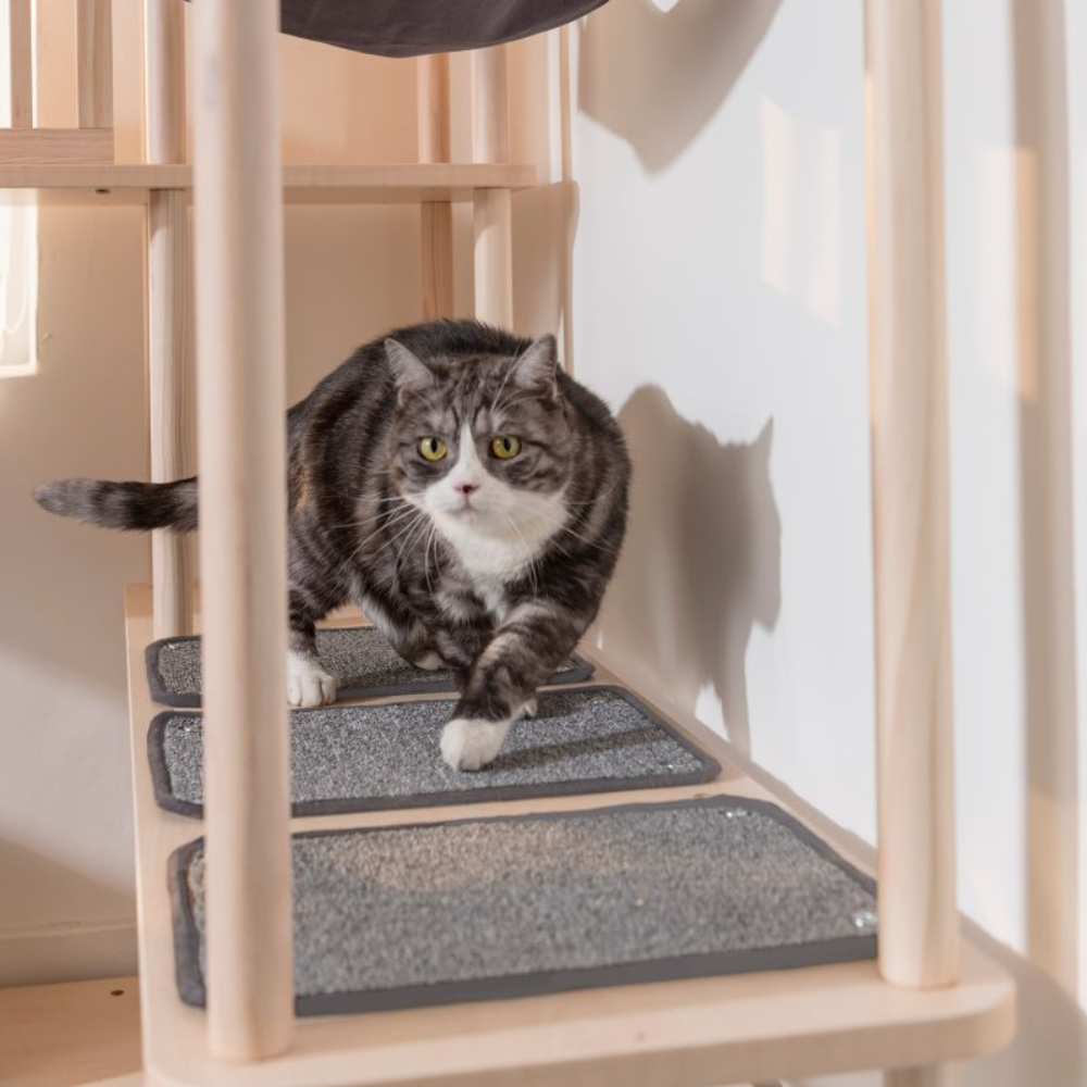 【paipaipets】Cat Scratching Cloth (2/set)(For Cat Tree), , large