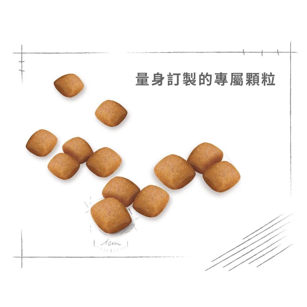 Royal Canin Pomeranian Adult PA, , large