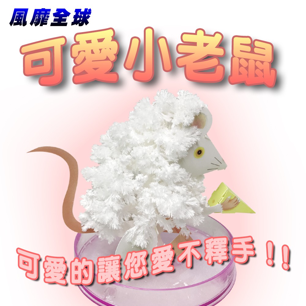 金德恩 GS MALL 台灣製造 魔法成長錢鼠 魔法開花鼠 成長鼠 錢鼠 神奇錢鼠 紙花 開花鼠 裝飾樹 開花樹, , large