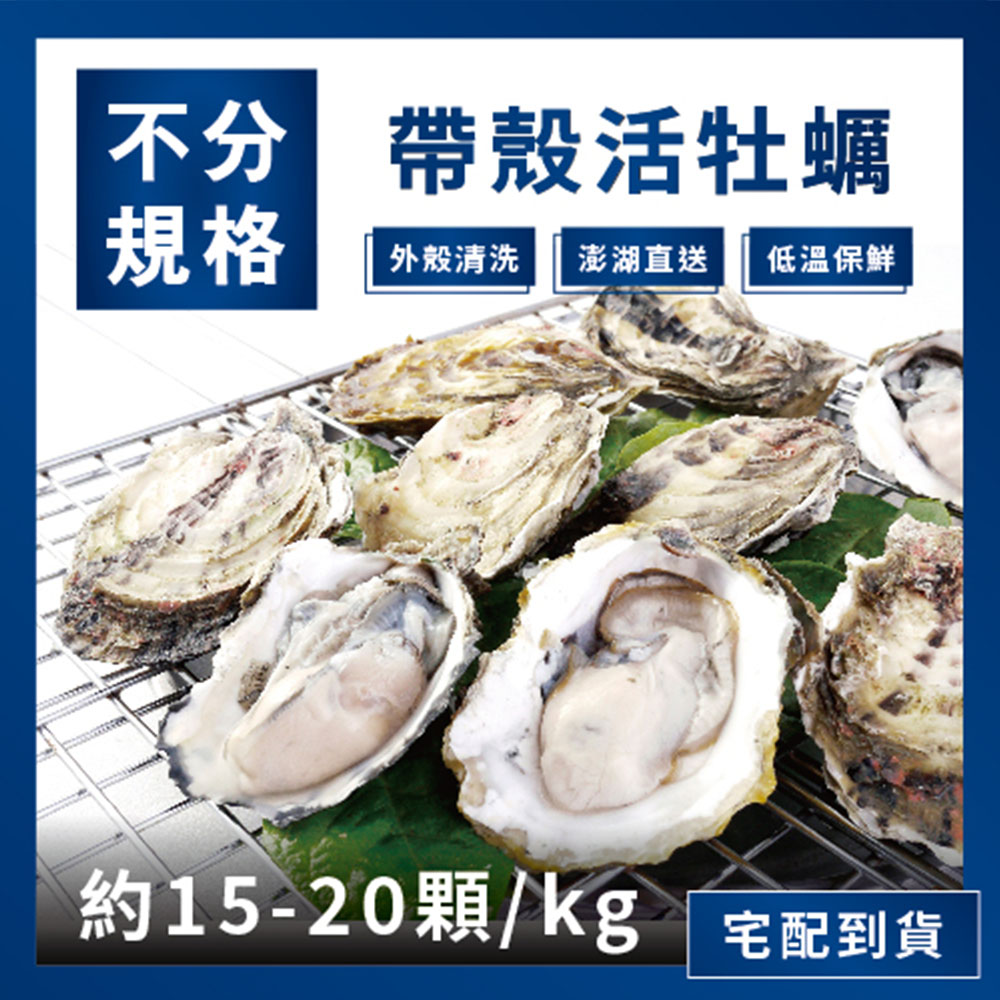 Penghu oysters, , large