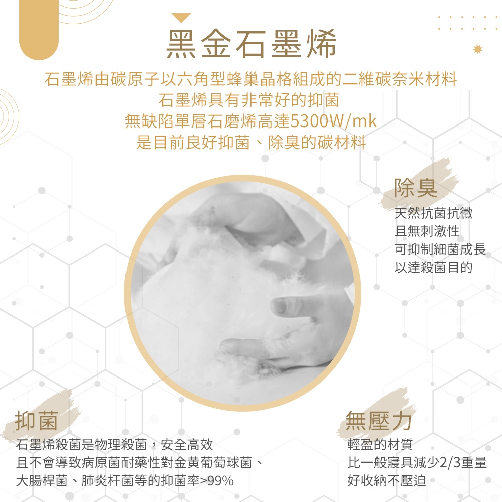 【吉梵尼 范侖鐵諾】台灣製造 石墨烯遠紅外線健康枕 石墨烯枕2入, , large