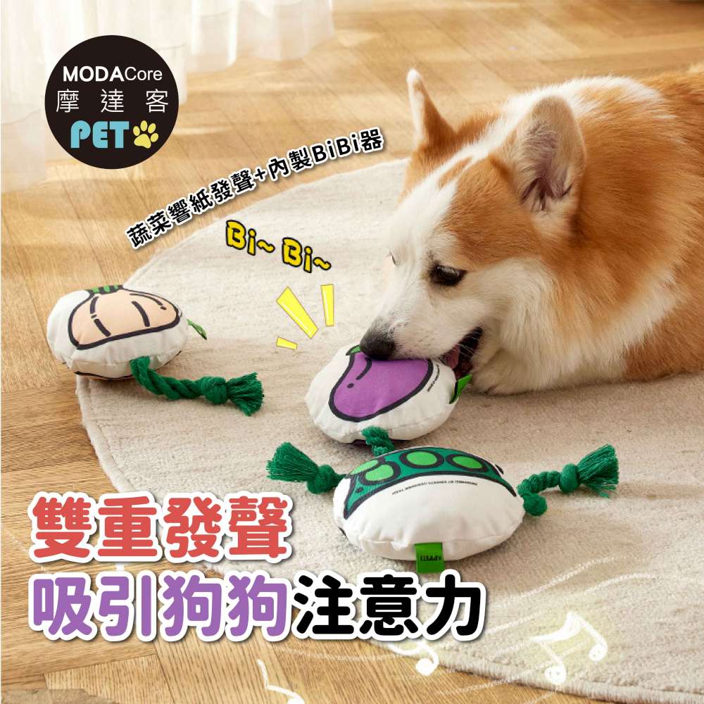 PET, , large