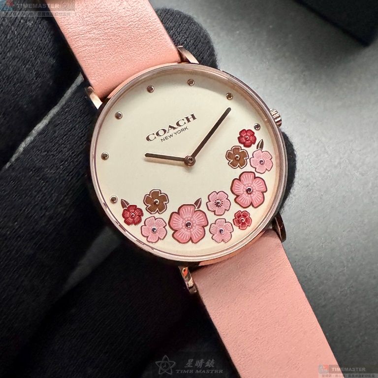[TIMEMASTER] COACH watch, 36mm, CH00204, , large