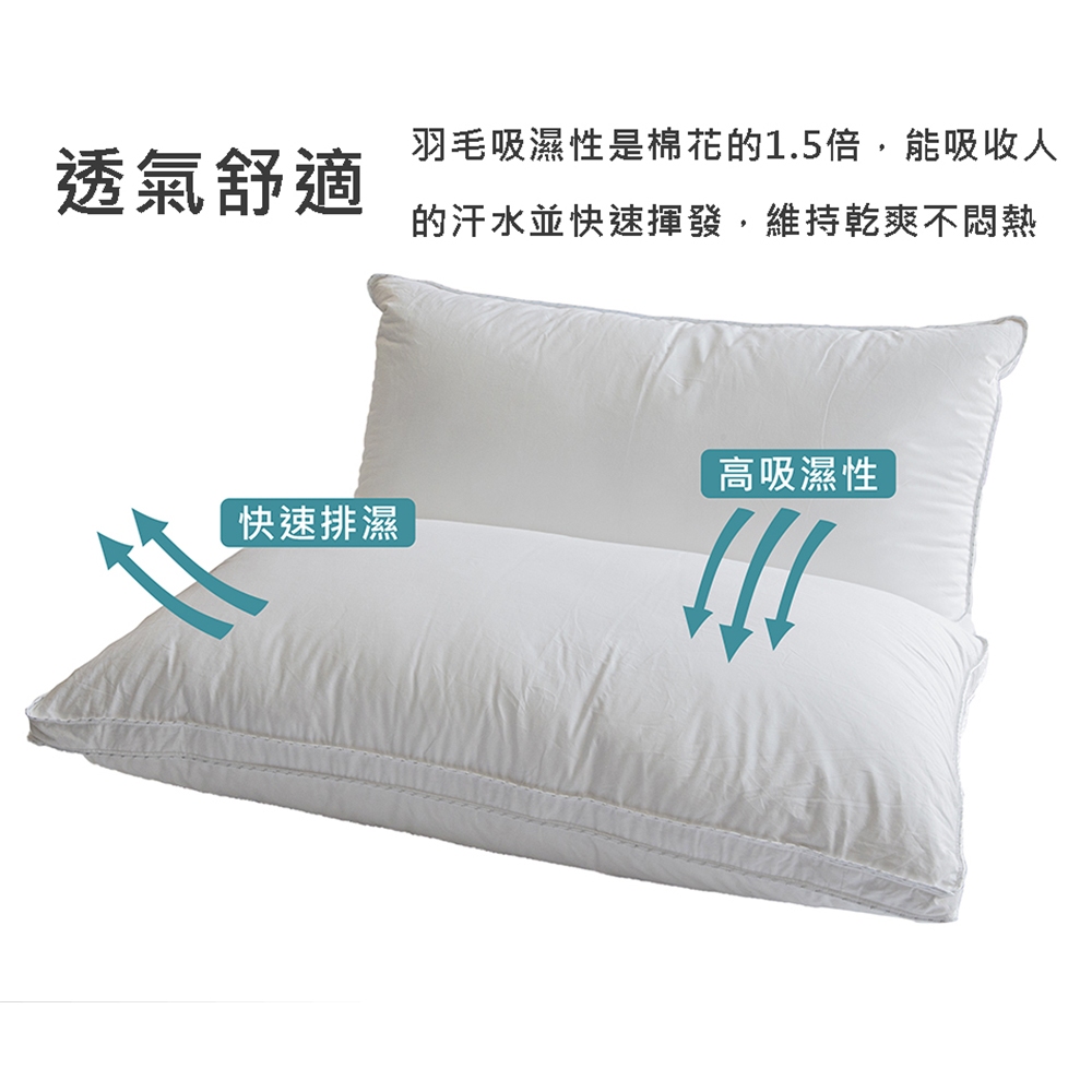 【生活好室】好適羽毛枕 水鳥羽毛枕 枕頭 台灣製造枕頭 天然水鳥羽毛 支撐頭頸 360度包覆 吸濕散熱 床寢 現貨 免運, , large