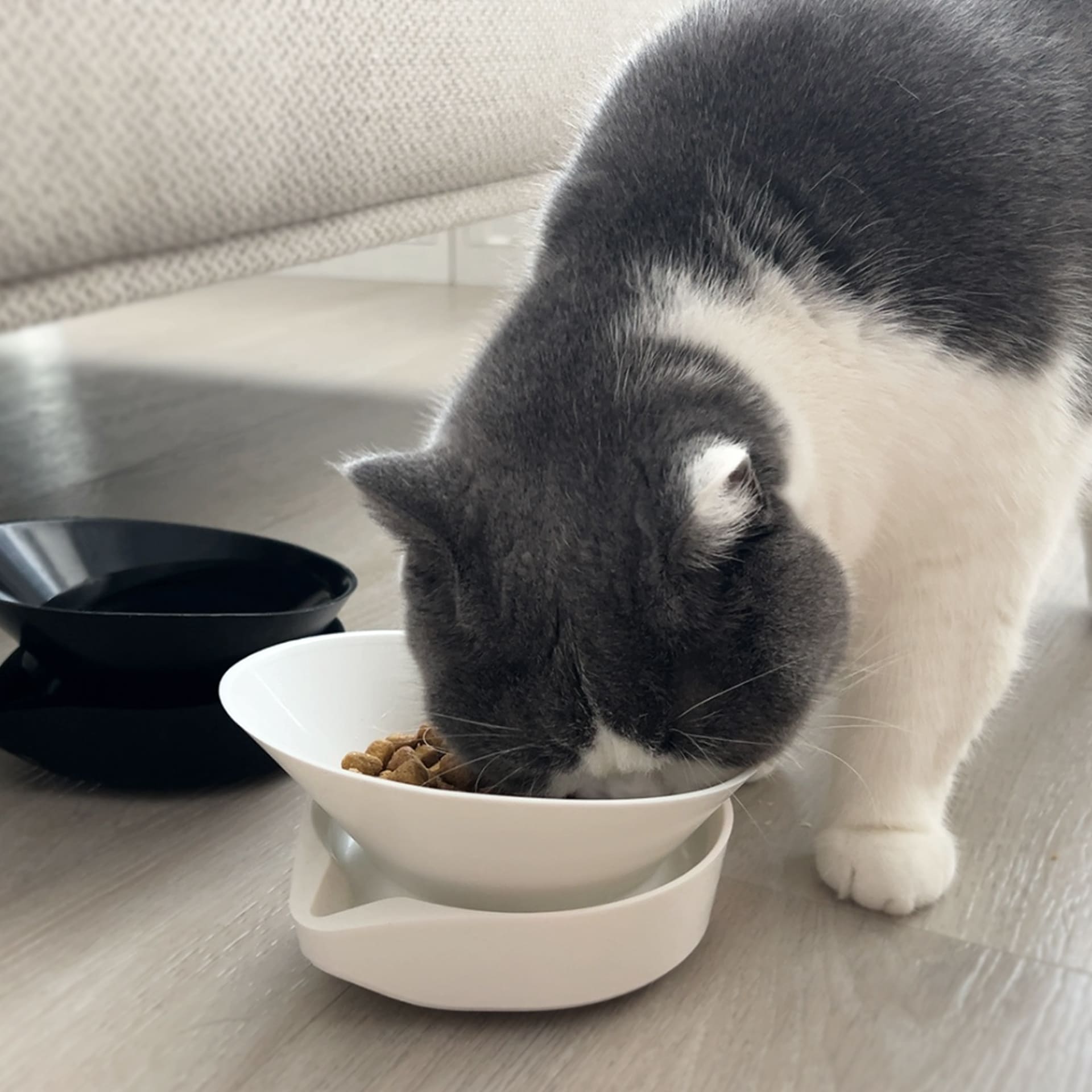 [HhL] MASTER BOWL-Ant-Proof Pet Bowl / Two Bowl (G+G), , large