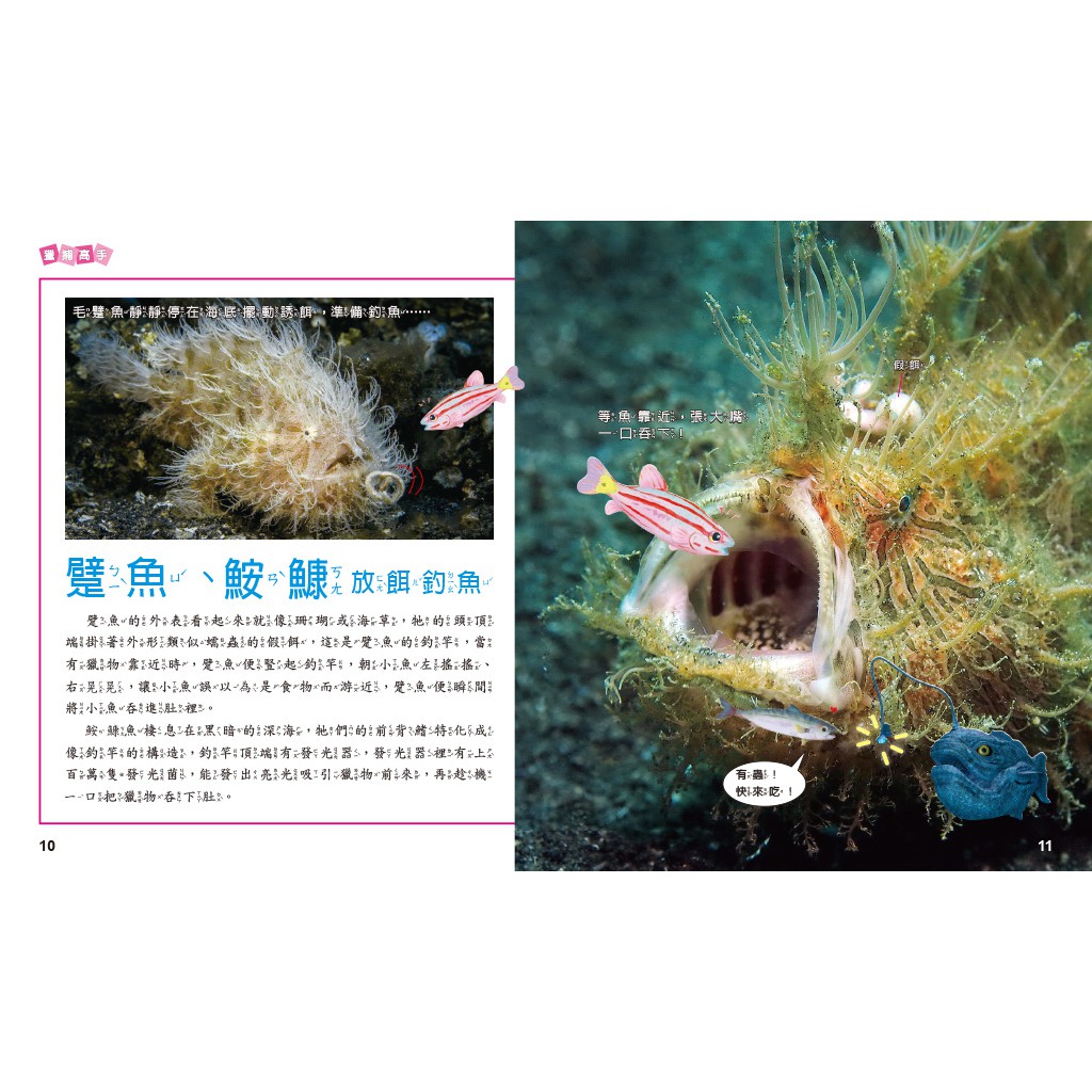 [小牛頓]動物生存高手：就是要吃東西 適合9-12歲 精裝全彩 高清照片搭動物影片, , large
