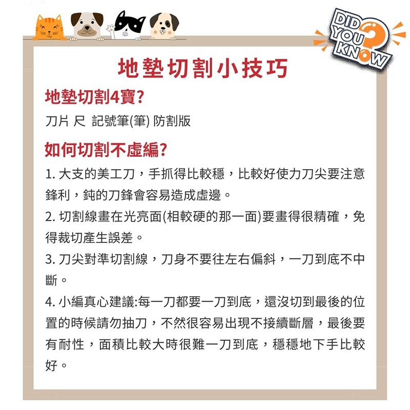 【精鼎智能】EZ-CARE Pet｜寵物止滑地墊 無考克XL款, , large