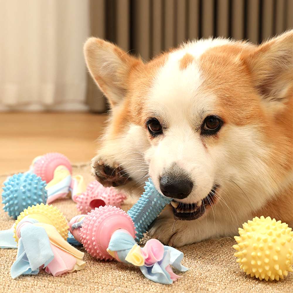 摩達客寵物-狗狗磨牙紓壓咬咬玩具三件A組 解悶趣味潔齒 自嗨耐咬寵物玩具, , large