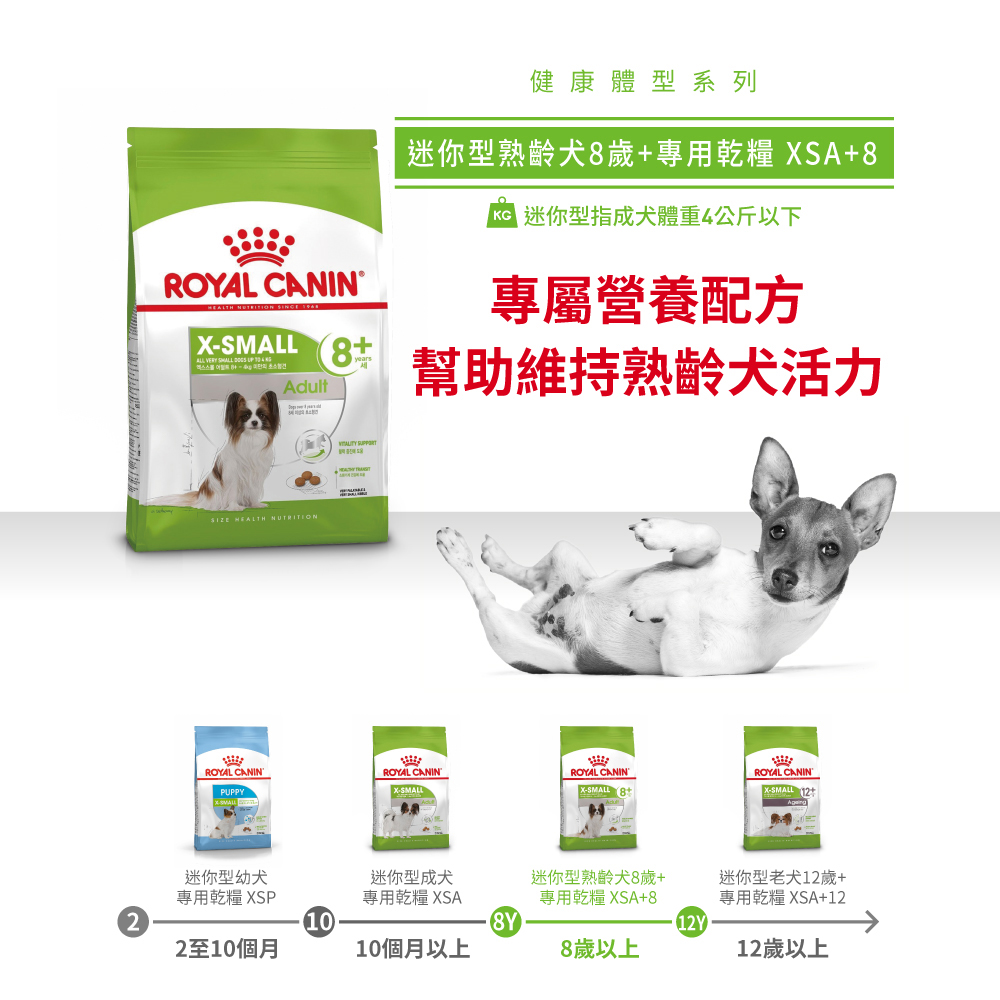 Royal Canin法國皇家 超小型熟齡犬8+歲齡XSA+8, , large