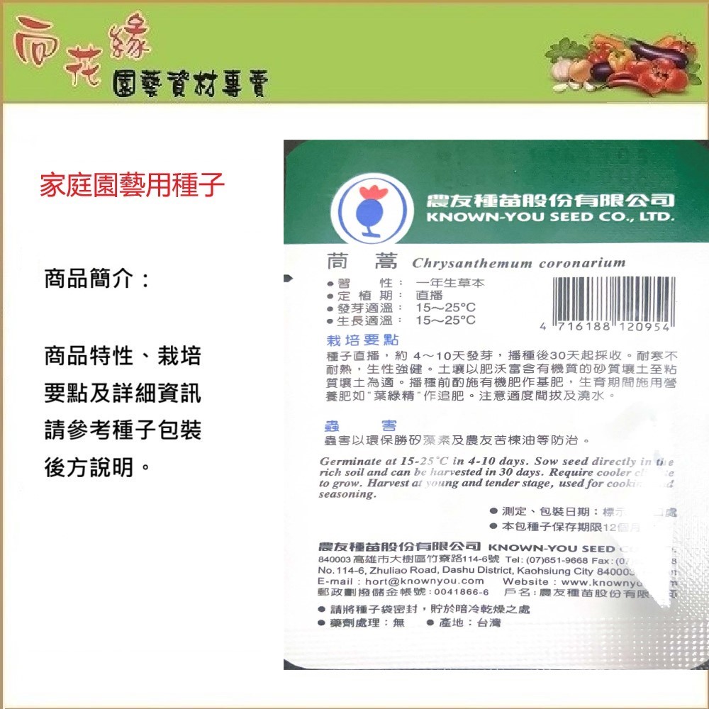 【向花緣】農友 茼蒿-蔬菜種子, , large