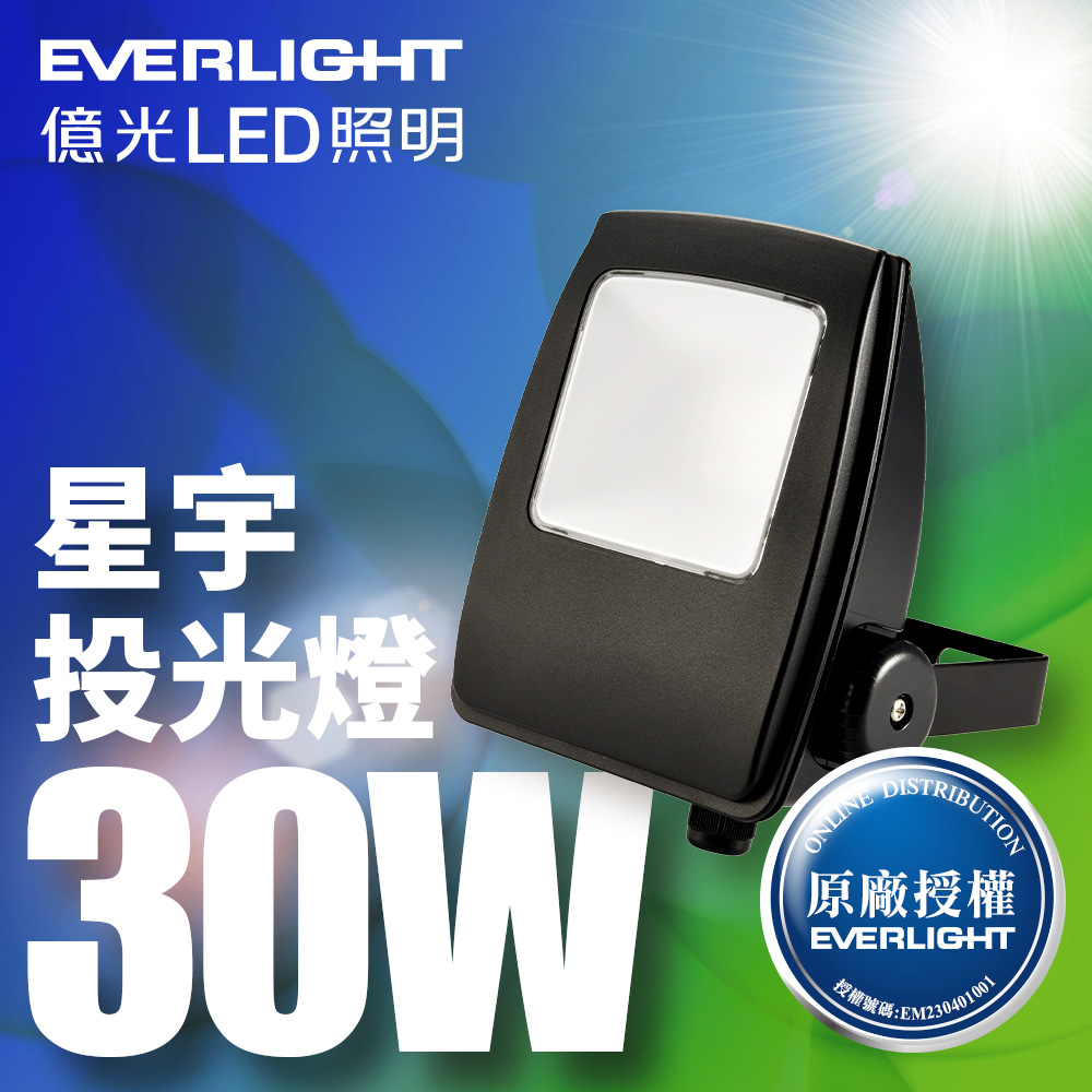 Everlight億光 LED 星宇 30W 全電壓 IP65 投光燈(白光)