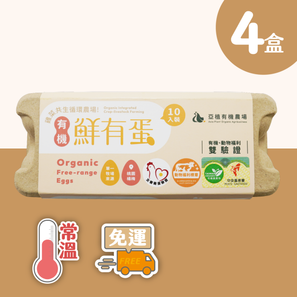 Organic Free-range Eggs 40 eggs (Standard), , large