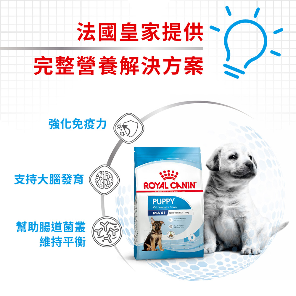 Royal Canin法國皇家 皇家大型幼犬MXP, , large