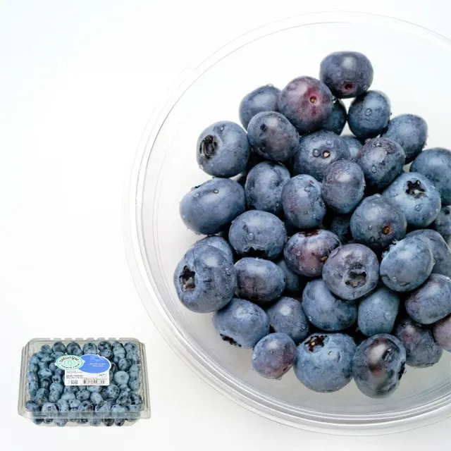 Fresh Blueberry , , large