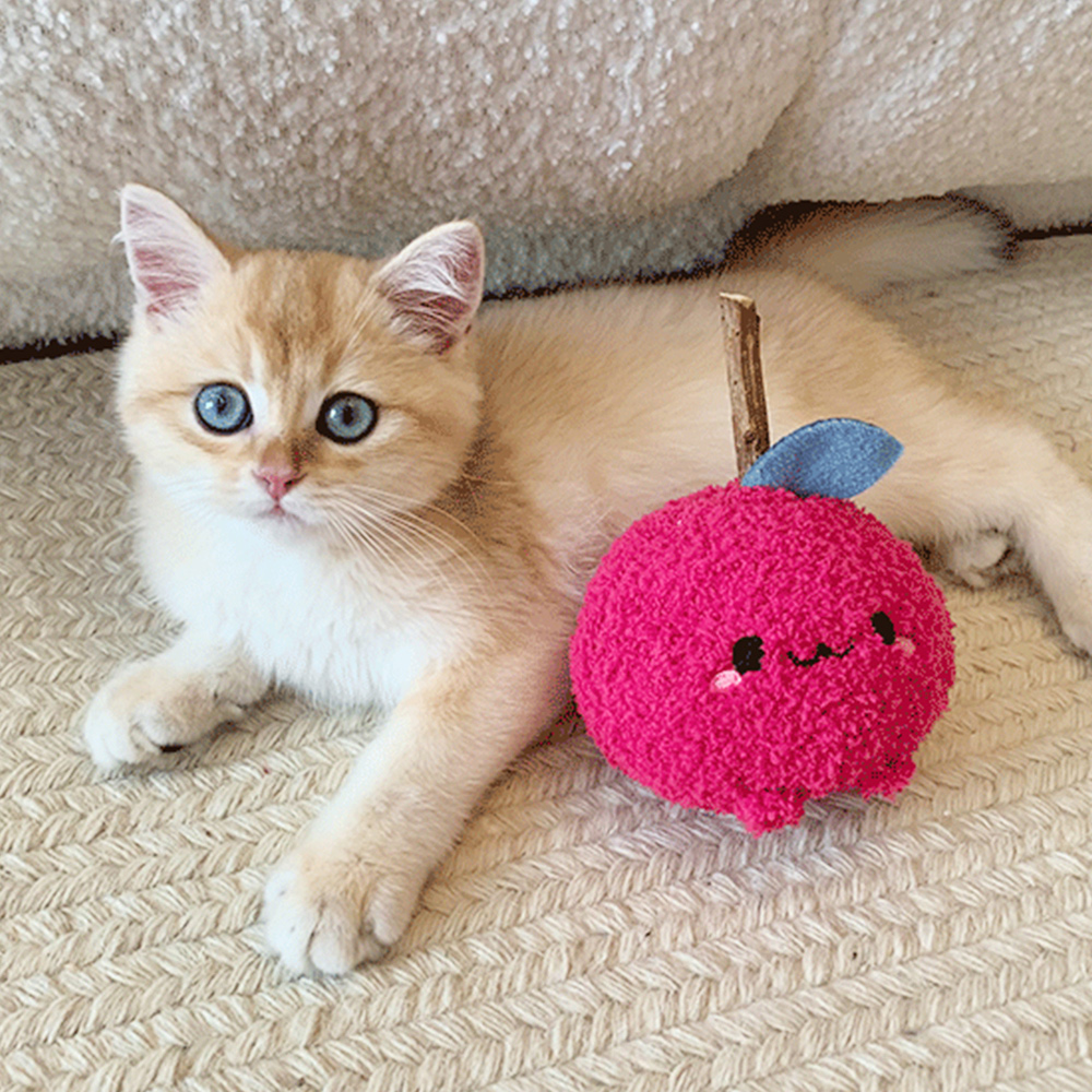 matatabi-cat-chew-toy, , large