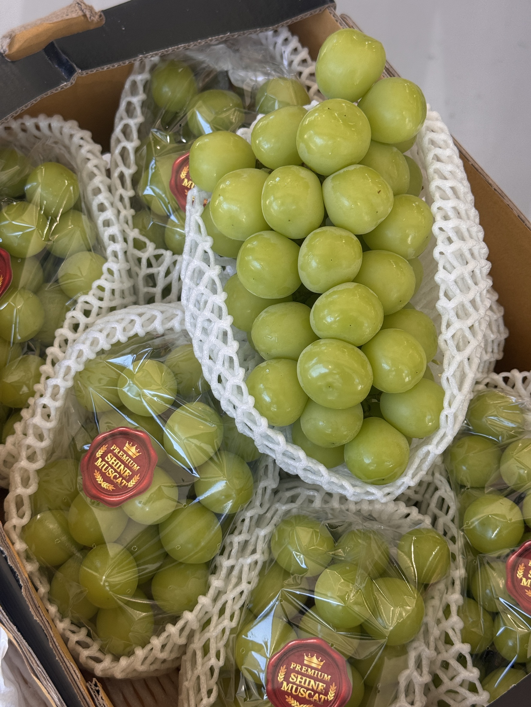  Korean Shine Muscat, , large