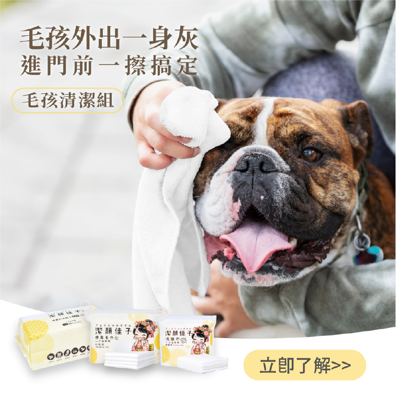 Disposable face towel
