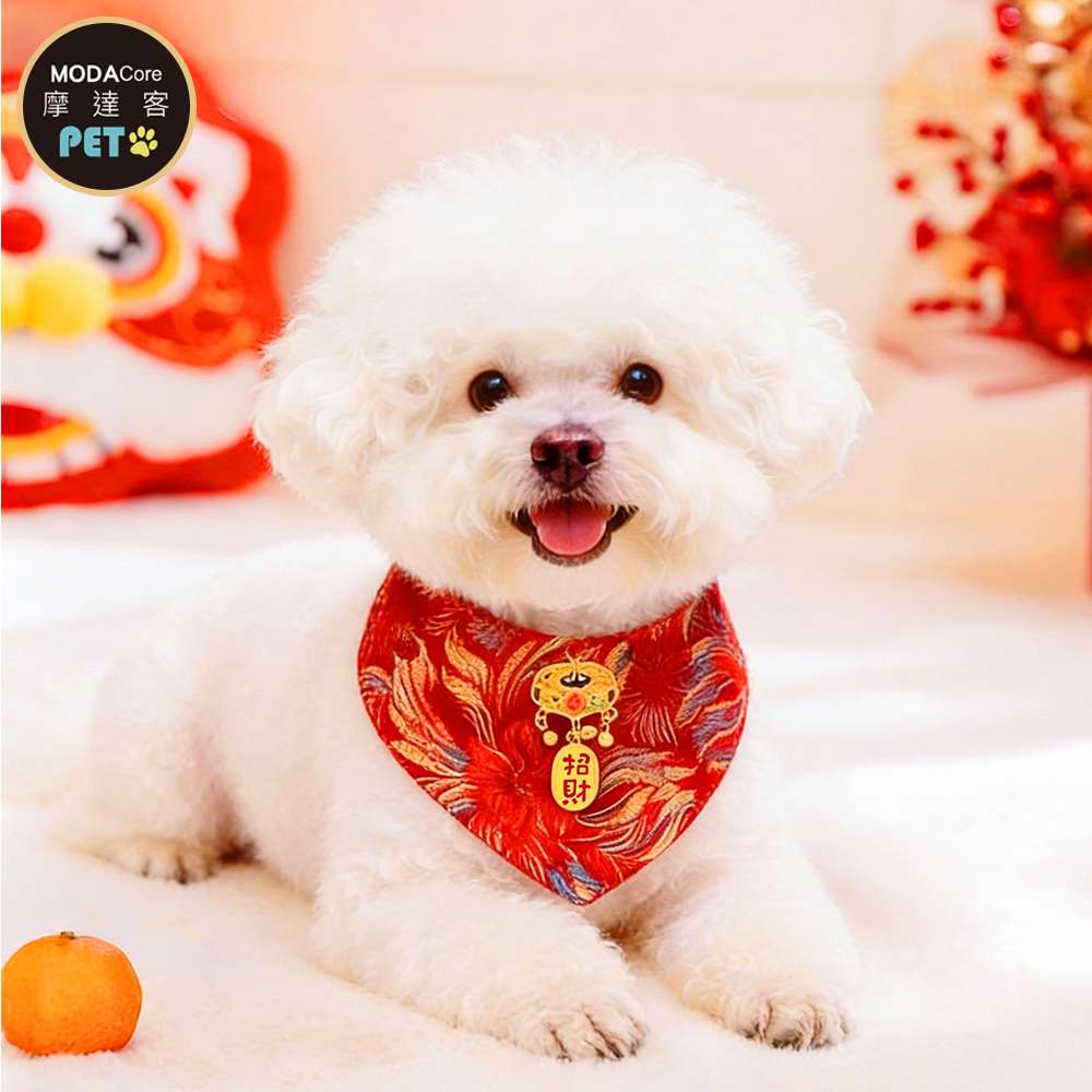 摩達客 寵物配件 006宮廷招財金鎖領巾｜狗狗貓咪拜年服飾配件寵物衣 尺寸可選, , large