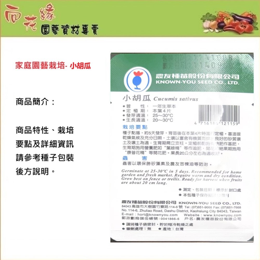 【向花緣】農友 小胡瓜 - 瓜果種子, , large