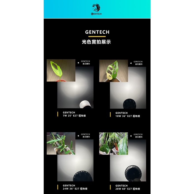 plant light, , large