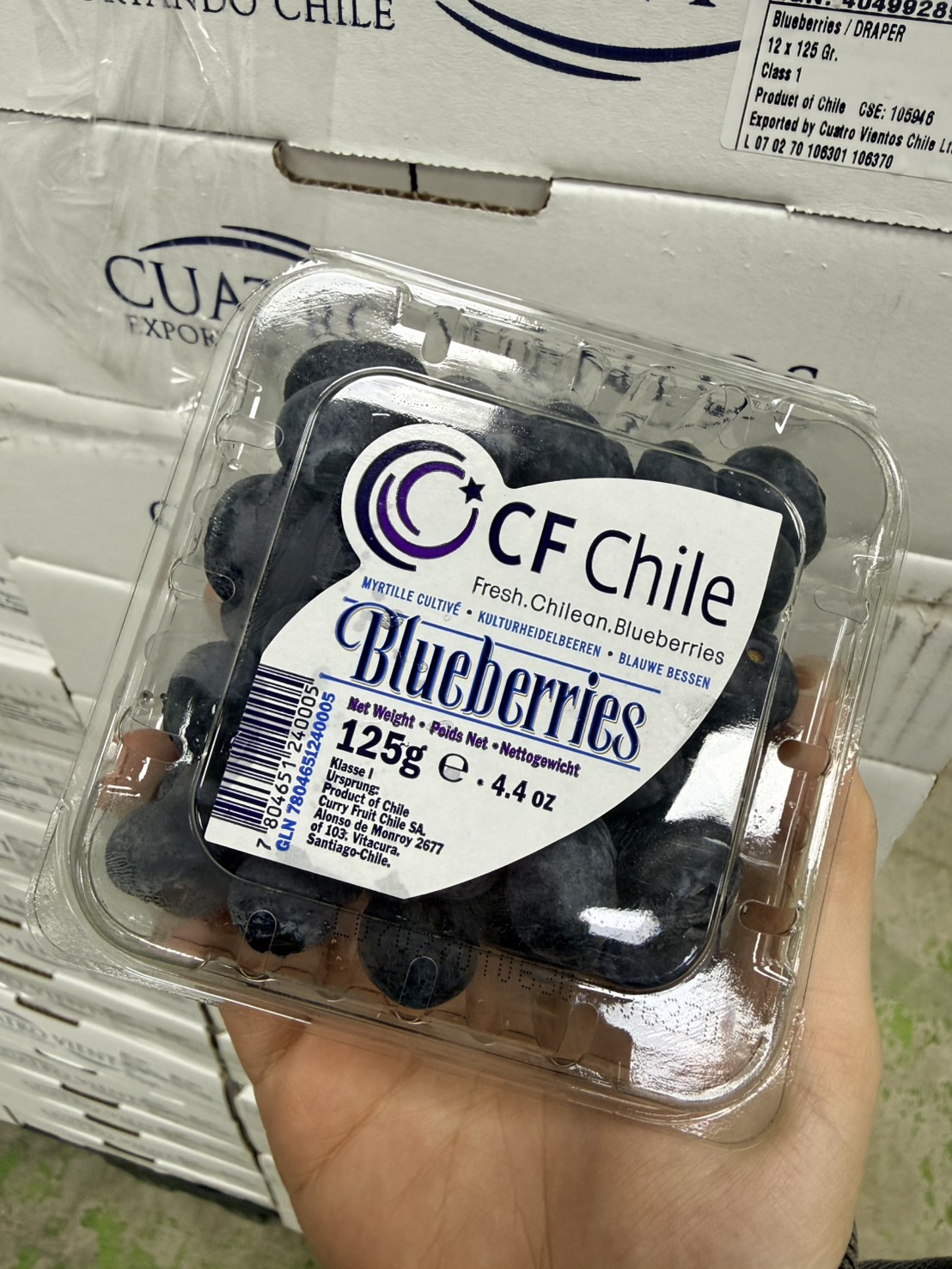 [芯鮮果]智利進口(  藍莓 ), , large