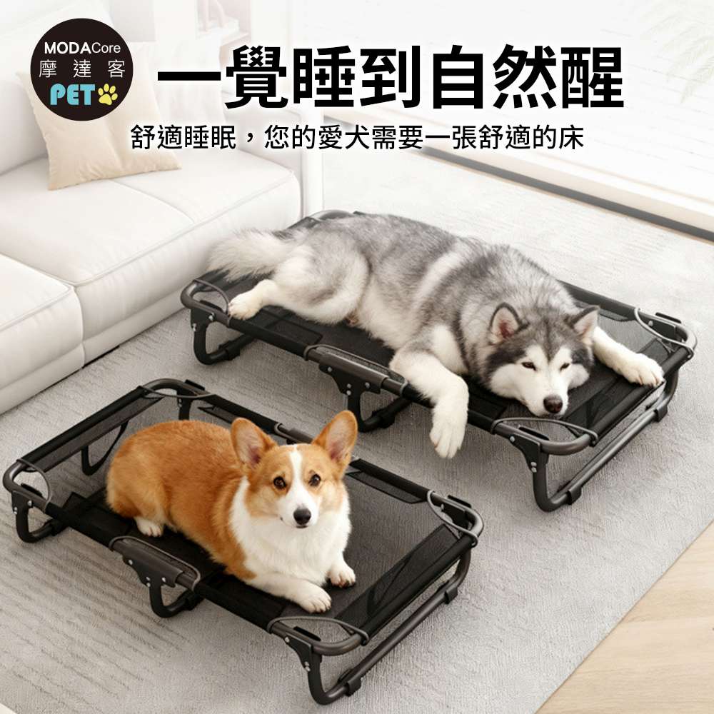 摩達客寵物-免安裝超輕量透氣摺疊寵物行軍床-S號 外銷歐美加厚款飛行床寵物床_不鏽鋼支架, , large