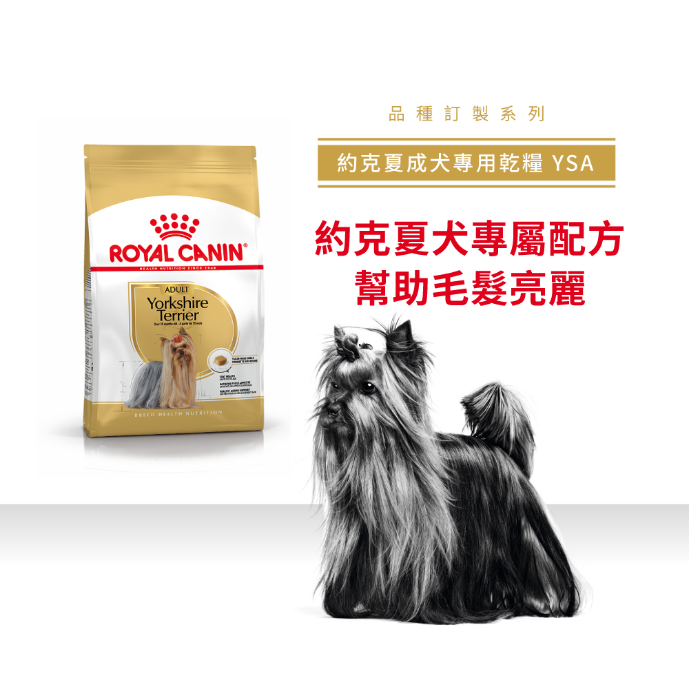 Royal Canin Yorkshire Terrier Adult YSA , , large