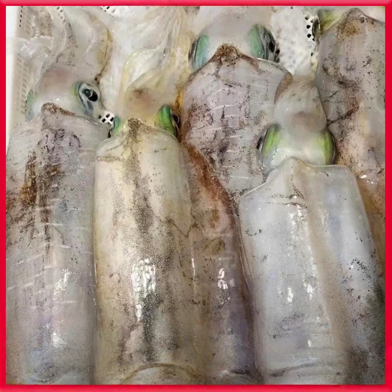 【吾家有貓-海鮮屋 】高品質野生軟絲 /鮮甜脆爽, , large