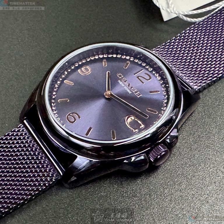 [TIMEMASTER] COACH watch, 36mm, CH00179, , large
