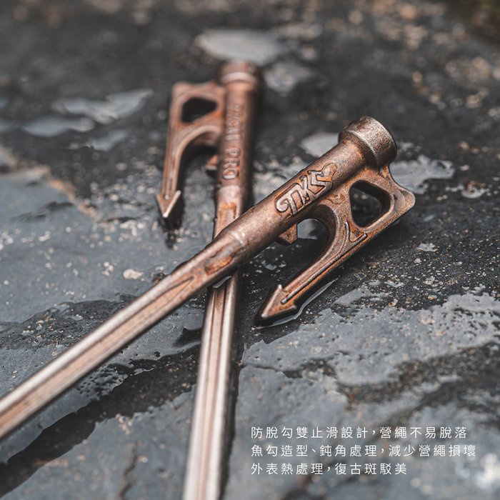 【TKS】魚槍釘 22cm 營釘 不鏽鋼釘 營釘 不銹鋼營釘 地釘 釘子 帳篷釘 露營, , large