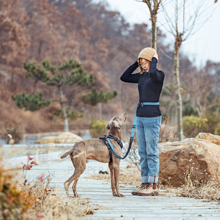 【寵愛生活本舖】六合一彈力緩衝牽繩 斜挎牽繩 防暴衝牽繩 斜背牽繩, , large