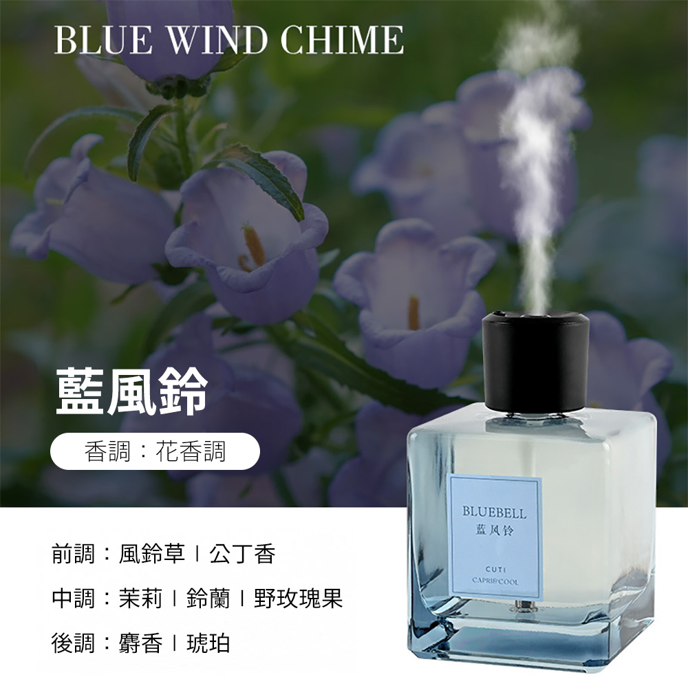 Home Fragrance Diffuser, , large