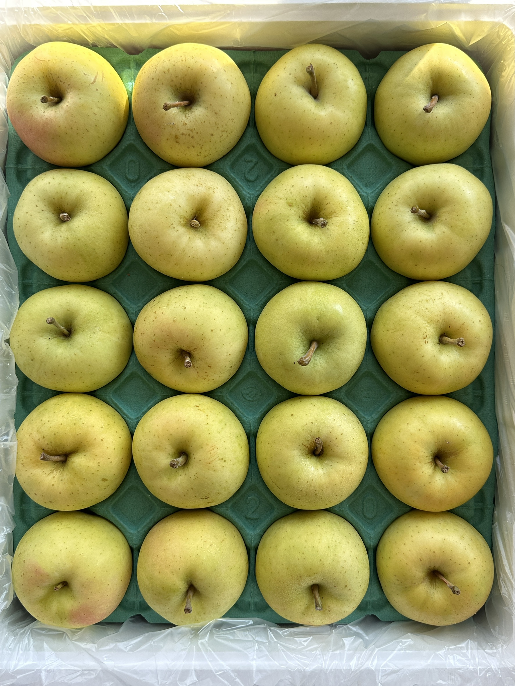 Japanese Toki Apple, , large